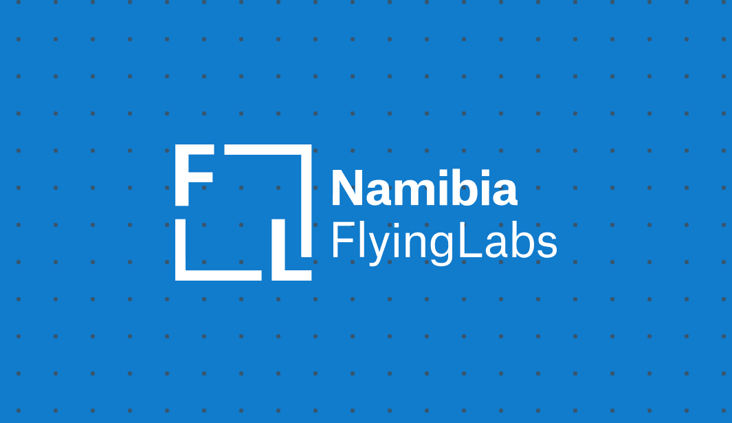 From scratch to streamlined _ How Flying Labs Namibia saved 90% of email production time with Stripo