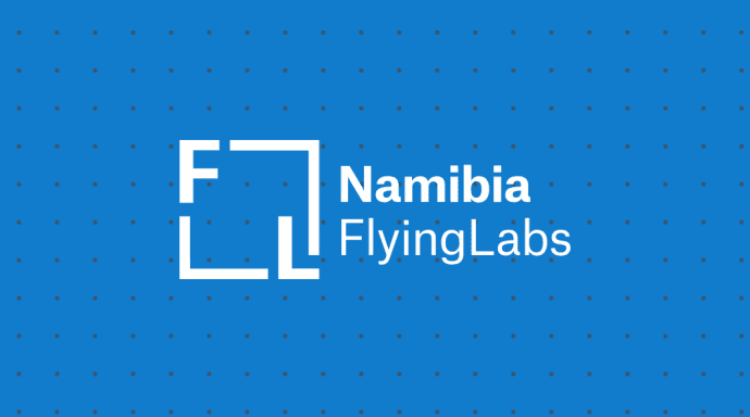 From scratch to streamlined _ How Flying Labs Namibia saved 90% of email production time with Stripo