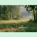 Native videos in emails without a hassle are easier to implement than you think