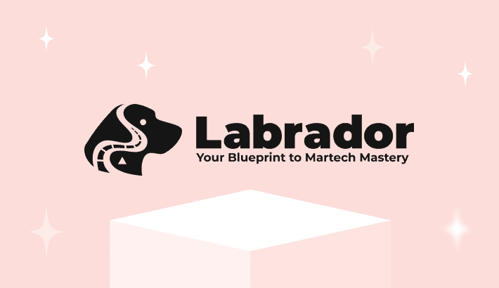 stripo-grants-freedom-marketers-and-email-creators-with