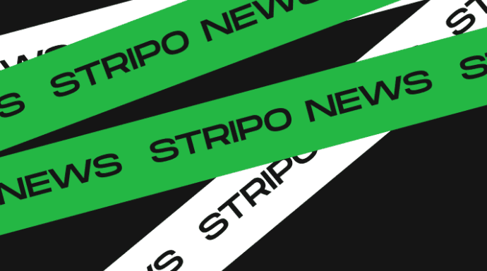 stripo-news