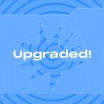 Ensuring engagement for all: The essential norms of fallback in gamified email marketing