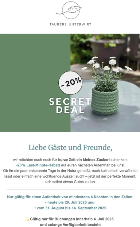 Email for mountain hotel “Last-minute offer” campaig