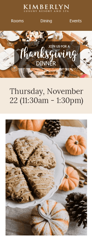 Mobile-Optimized Thanksgiving Email Template Mobile-Optimized Thanksgiving Email Template