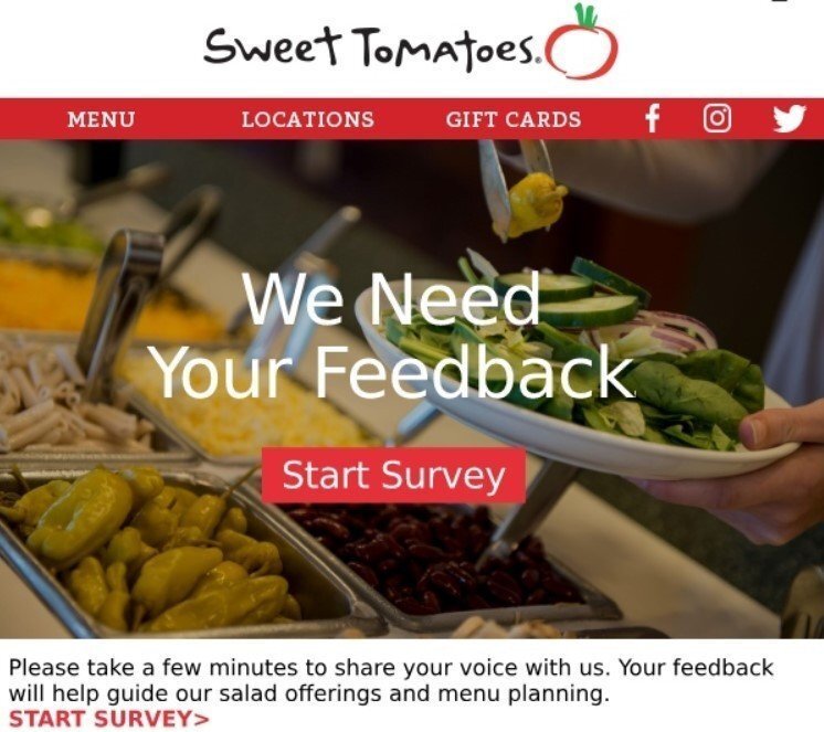 Stripo-Restaurant-Surveys