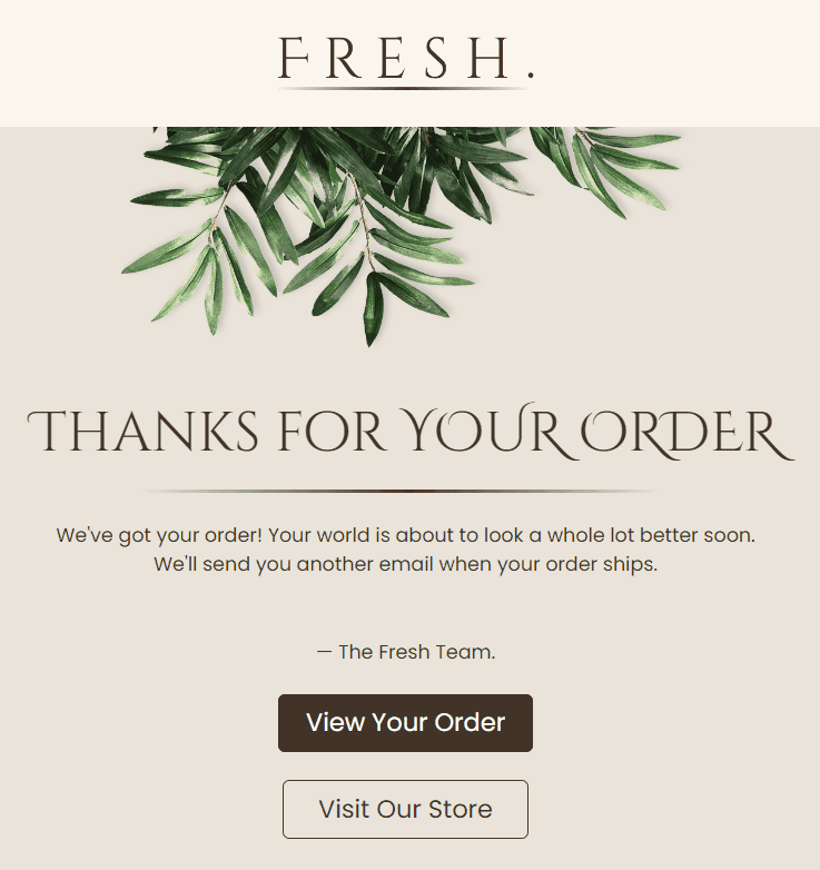 Custom Fonts for Your Email Templates Custom Fonts for Your Email Templates