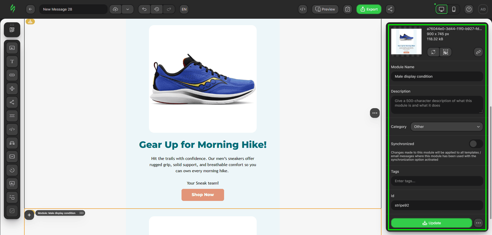Pre-update module window Pre-update module window