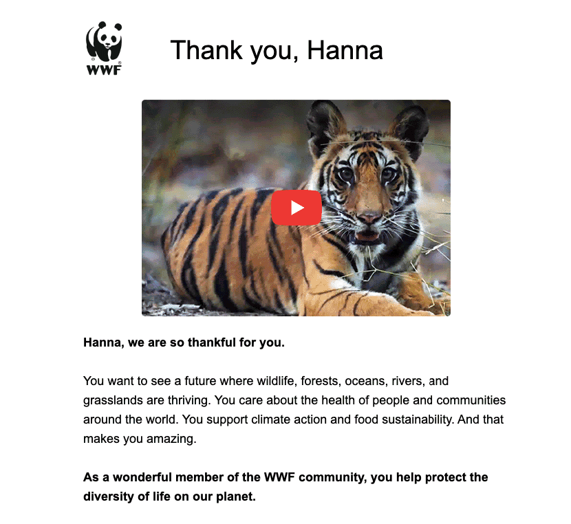 Example _ Appreciation emails with video Example _ Appreciation emails with video