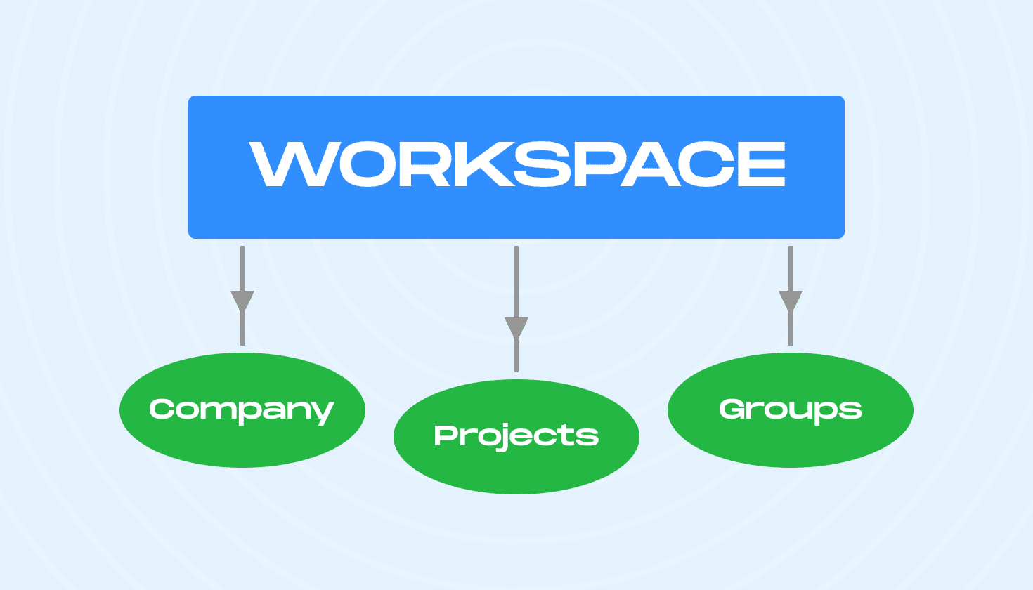 Reorganization of the Company and Groups and Projects