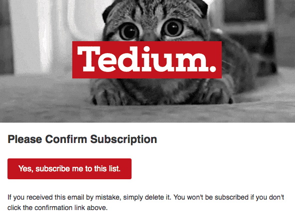 Stripo-Avoid-Spam-Filters-Double-opt-in Stripo-Avoid-Spam-Filters-Double-opt-in