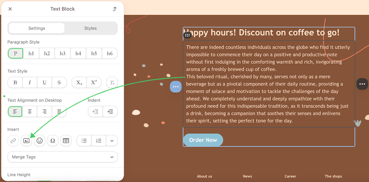Text block in settings panel with insert section for image Text block in settings panel with insert section for image