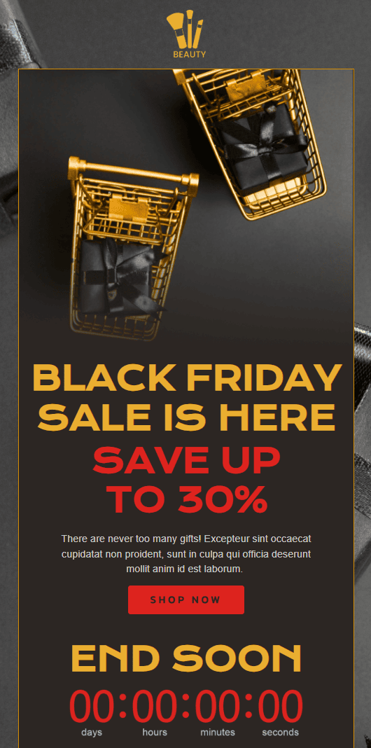 Black Friday email example Black Friday email example
