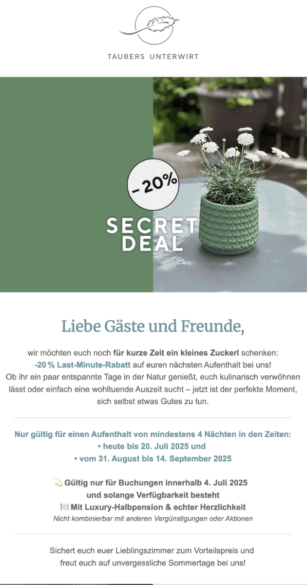 Email campaign for the hospitality industry