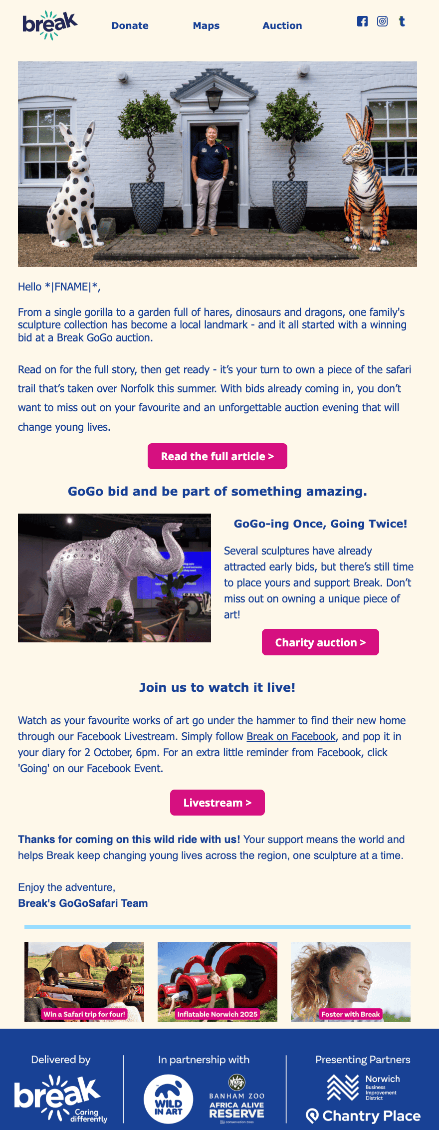 Email example for a big charity campaign Email example for a big charity campaign