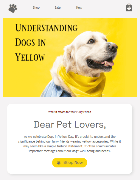 Exemplo de banner no corpo do e-mail