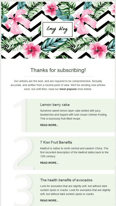 Example of a follow-up email