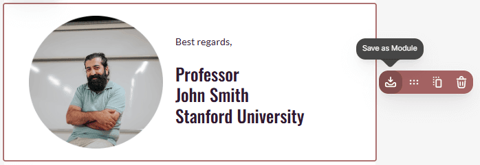 Example of the module in the Stripo editor