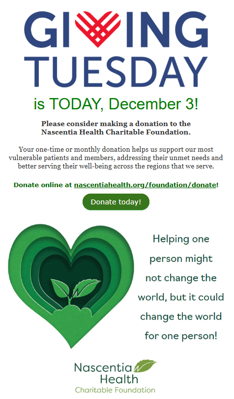 Email example for the non-profit organization