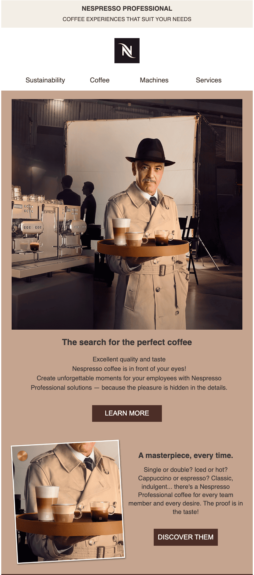 Promotional email campaign example