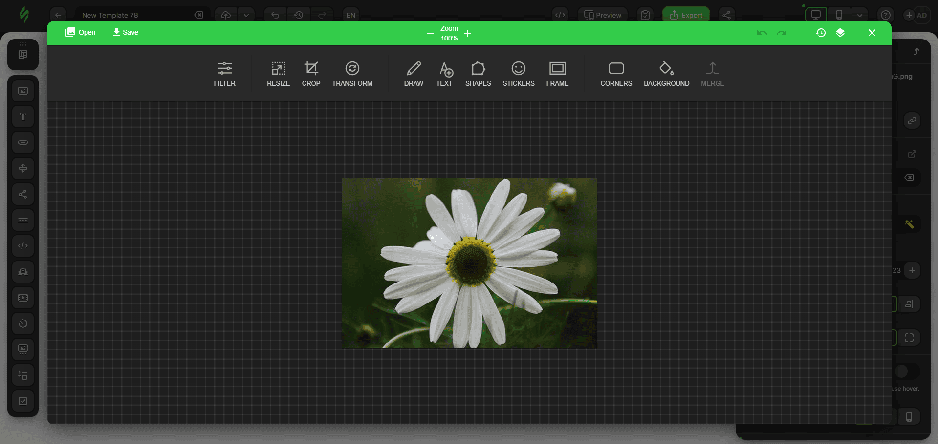 Janela do editor de imagens