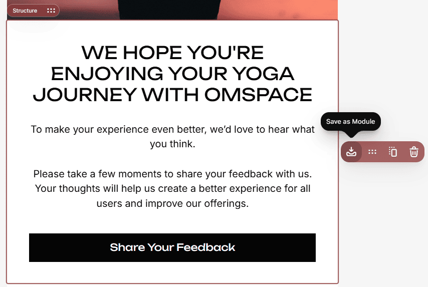 Salvando elemento como m&oacute;dulo