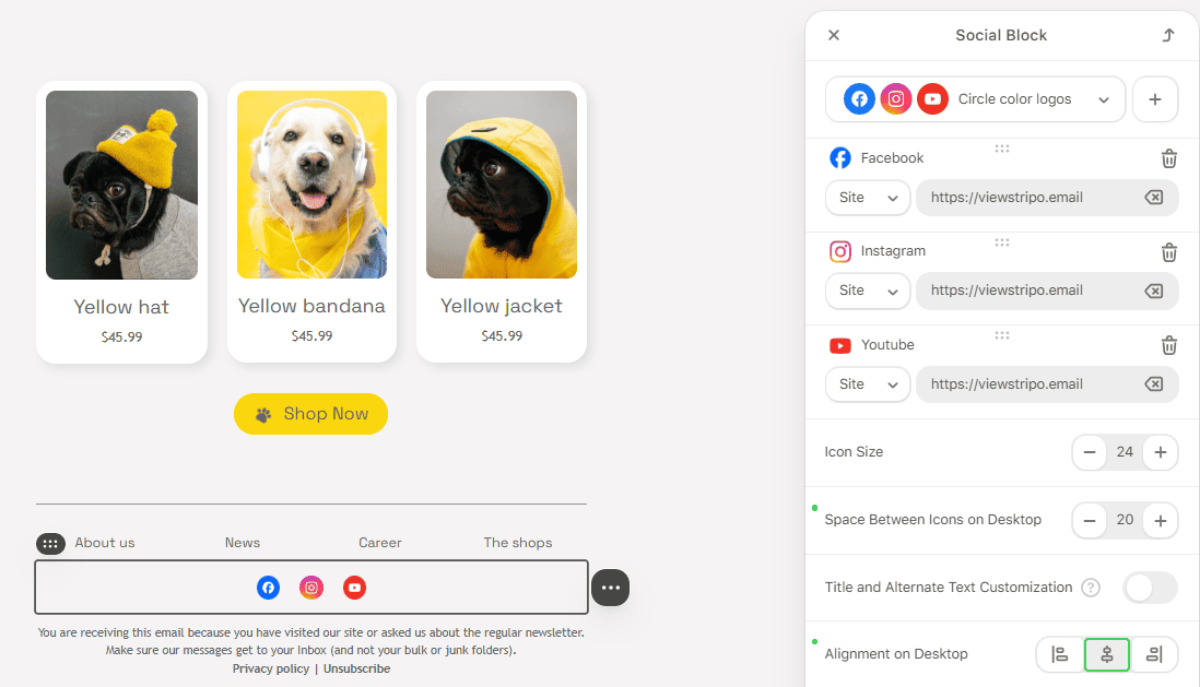 Example of &ldquo;Social Networks&rdquo; block settings in Stripo