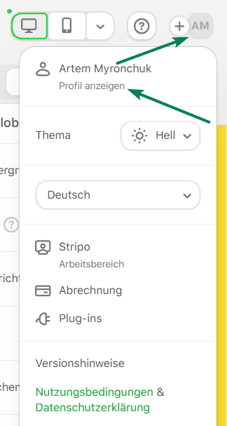 Beispiel für ein persönliches Profil in Stripo Beispiel für ein persönliches Profil in Stripo