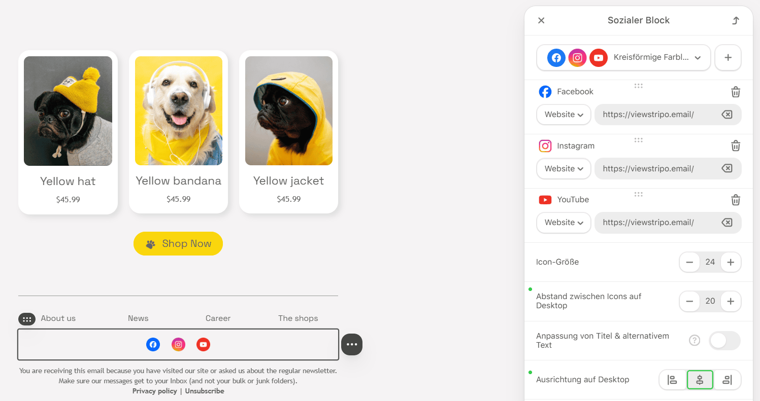 Beispiel für die Einstellungen des Blocks „Soziale Netzwerke“ in Stripo Beispiel für die Einstellungen des Blocks „Soziale Netzwerke“ in Stripo