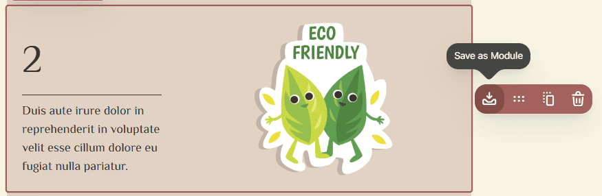 Example of the module in the Stripo editor