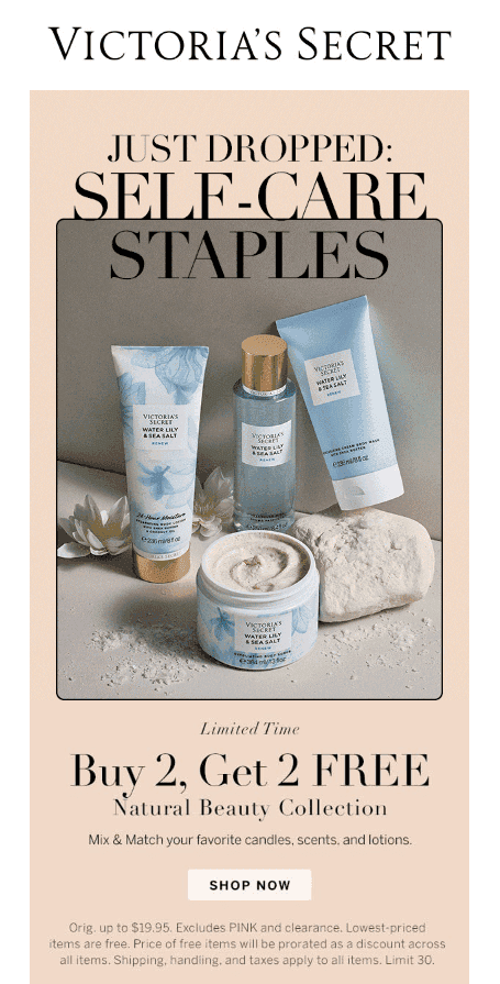 Ejemplo de boletín informativo por correo electrónico para empresas de comercio electrónico Ejemplo de boletín informativo por correo electrónico para empresas de comercio electrónico