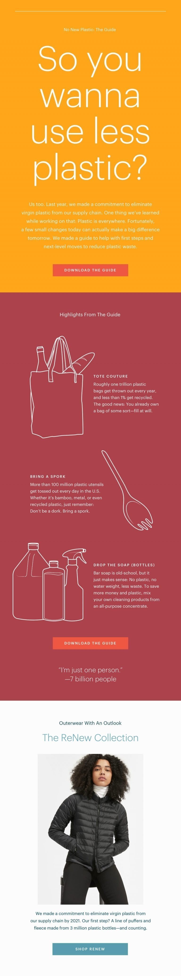 Ejemplo de boletín de Everlane Ejemplo de boletín de Everlane