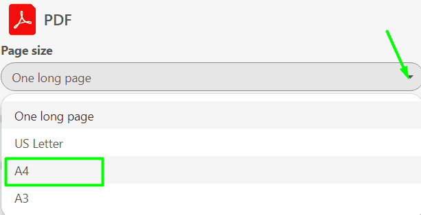 Stripo Export to PDF A4 Format Stripo Export to PDF A4 Format
