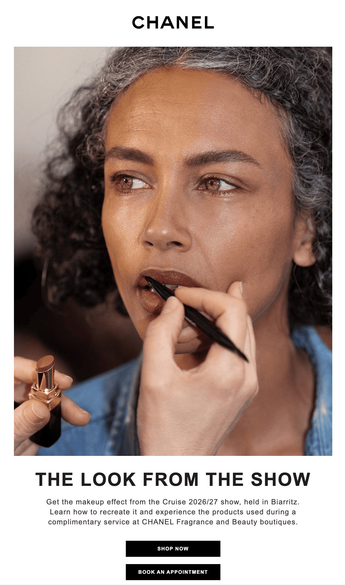 Banner example in promo email campaign