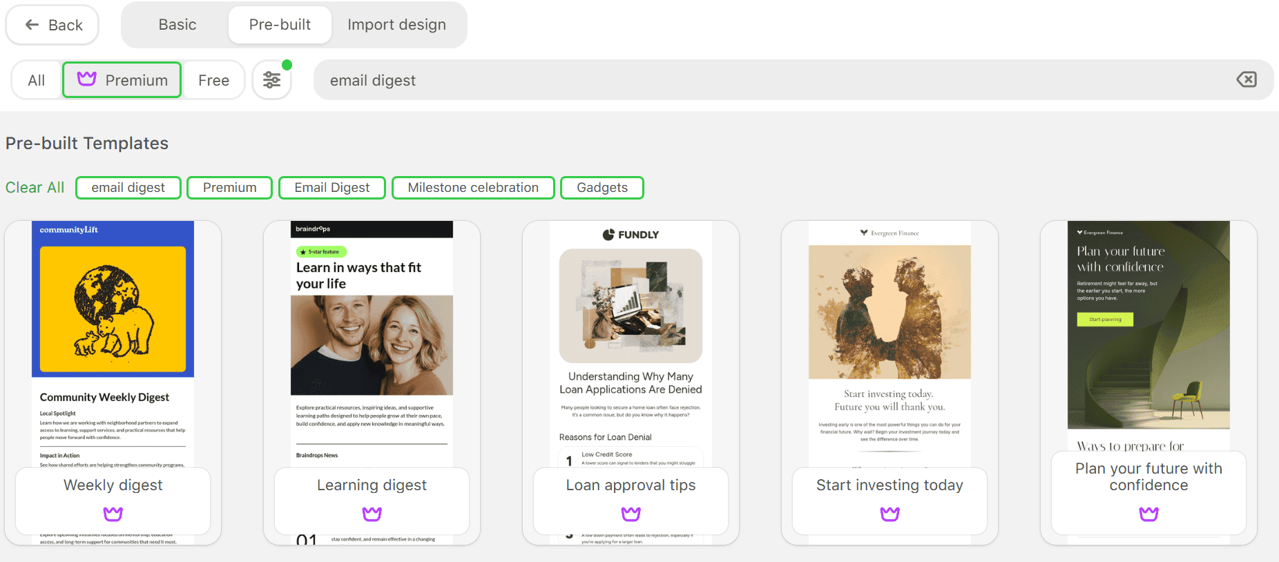 Examples of newsletter templates in Stripo