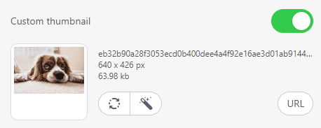 How to Build Email with Stripo Inserting Custom Thumbnail image