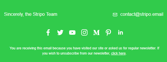 How-to-Build-Email-with-Stripo-Example-of-Email-Footer How-to-Build-Email-with-Stripo-Example-of-Email-Footer