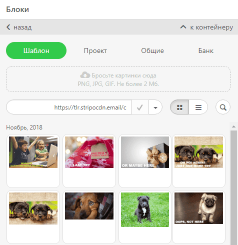 how to Build Email Template with Stripo Adding Images from the Gallery Ru how to Build Email Template with Stripo Adding Images from the Gallery Ru