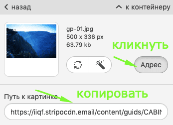 Rendering Issues in Outlook_Copying URL to Background Image Rendering Issues in Outlook_Copying URL to Background Image