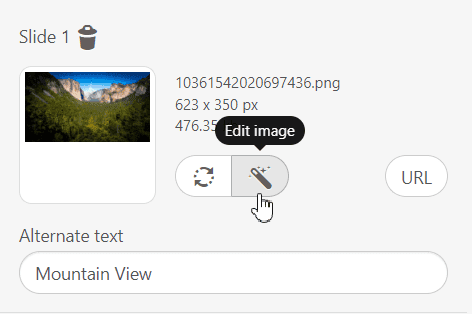 Building AMP Email with Stripo _ Editing Images Building AMP Email with Stripo _ Editing Images