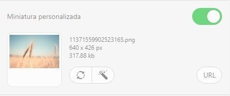 Stripo-Adding-Custom-Thumbnail-Image_ES