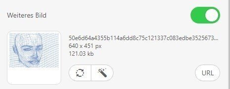 Stripo_Uploading-Additional-Images_GE