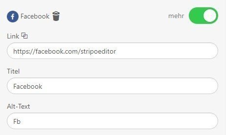 Stripo-Adding-Alt-Text-and-Links-to-Social-Media-Icons_GE