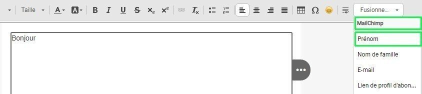 Stripo_Merge-Tags-button_FR