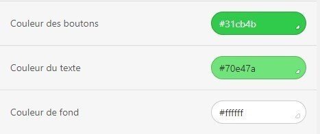 Setting-Colors-for-Buttons_FR
