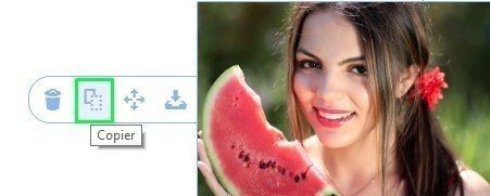 Stripo-How-to-Build-AMP-Emails-with-Stripo_Copy-button_FR