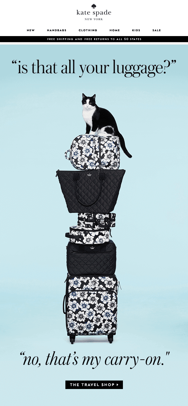 Fun newsletter ideas_Stripo-Epic-Newsletters-Kate Fun newsletter ideas_Stripo-Epic-Newsletters-Kate