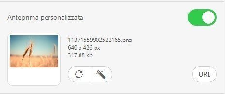 Stripo-Adding-Custom-Thumbnail-Image_IT