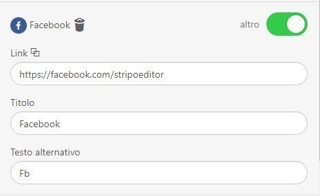 Stripo-Adding-Alt-Text-and-Links-to-Social-Media-Icons_IT