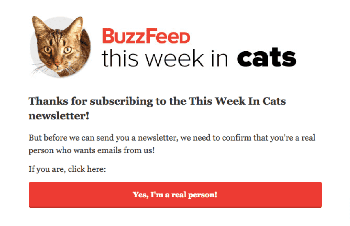 Verification emails as a way to improve email deliverability