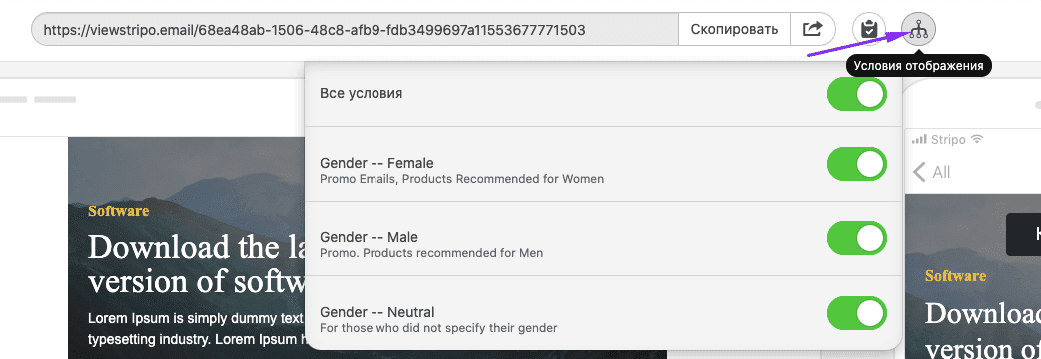 Условия отображения _ Все условия в режиме предварительного просмотра Условия отображения _ Все условия в режиме предварительного просмотра